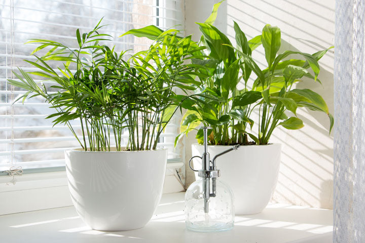 Beginner gardener repotting an indoor plant with soil mix, pot, and tools laid out for first-time houseplant care
