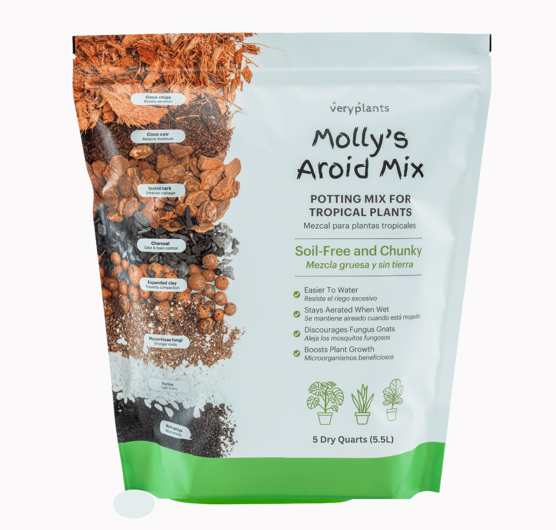 Molly's Aroid Mix, the default upgrade for houseplants coming out of bagged soil