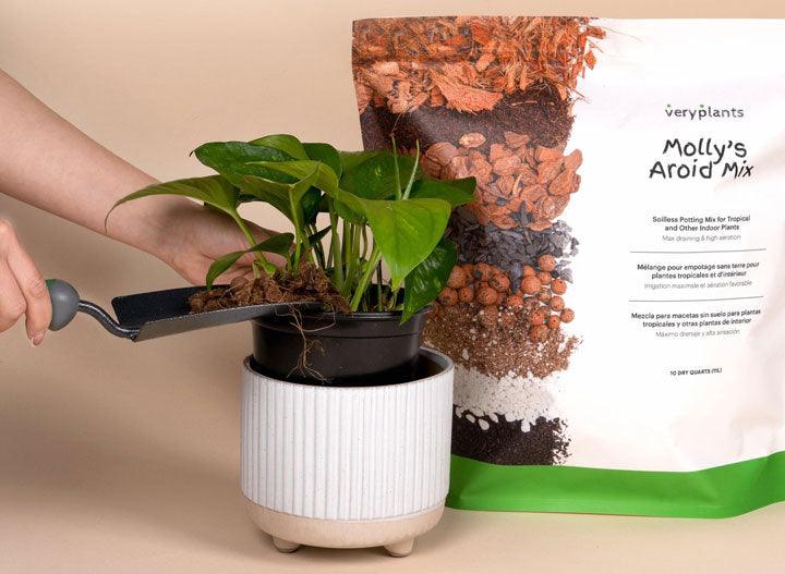 Fertilzer Labels How to Read Fertilizer Labels: NPK Ratios Explained | Veryplants | Canada