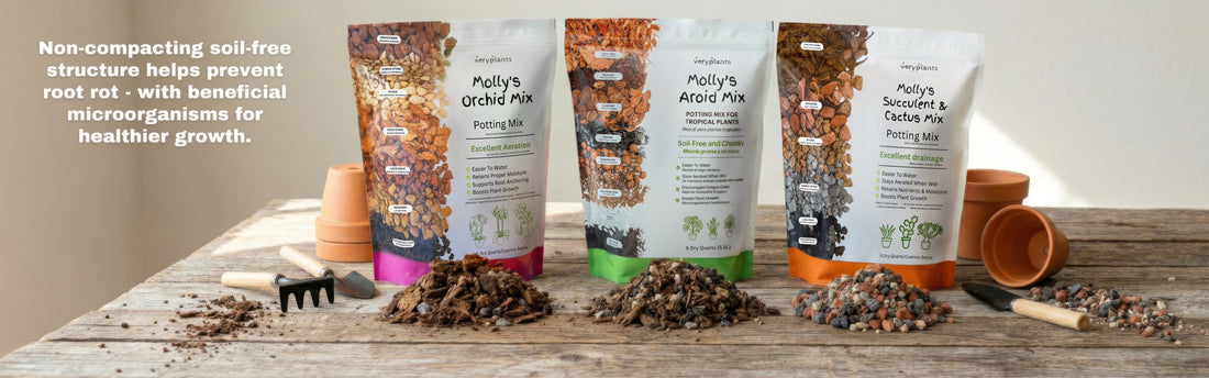 Molly's mixes with their component ingredients on a potting bench
