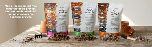 Molly's mixes with their component ingredients on a potting bench