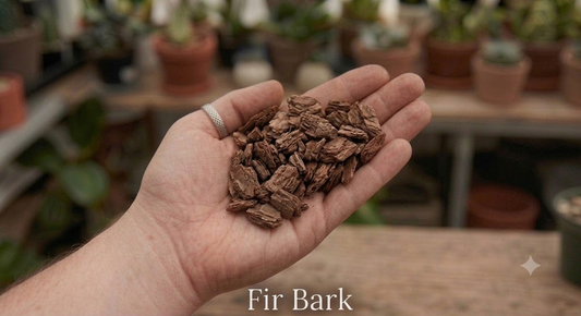 Orchid-grade fir bark, the structural backbone of an anthurium mix