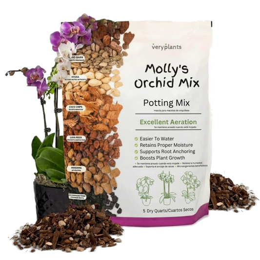 Molly's Orchid Mix, a bark-based soilless blend for epiphytic orchids