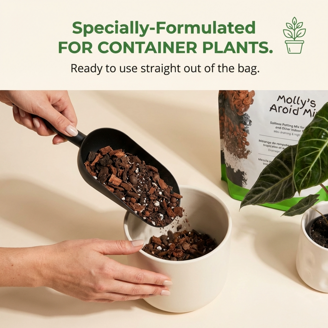 Scooping fresh bark mix while repotting an orchid