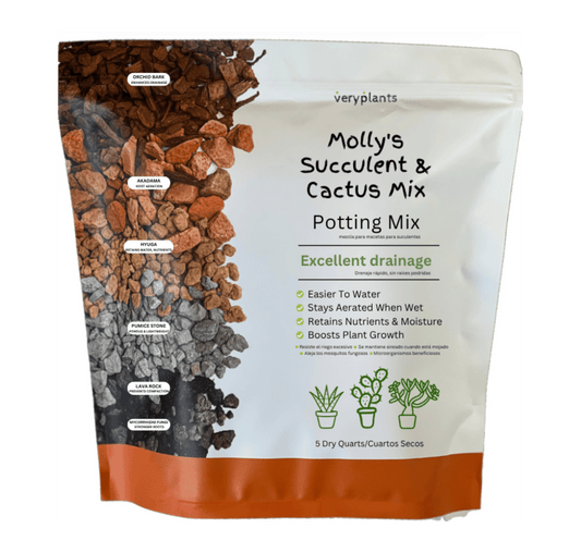 Molly's Succulent & Cactus Mix, a gritty mineral blend