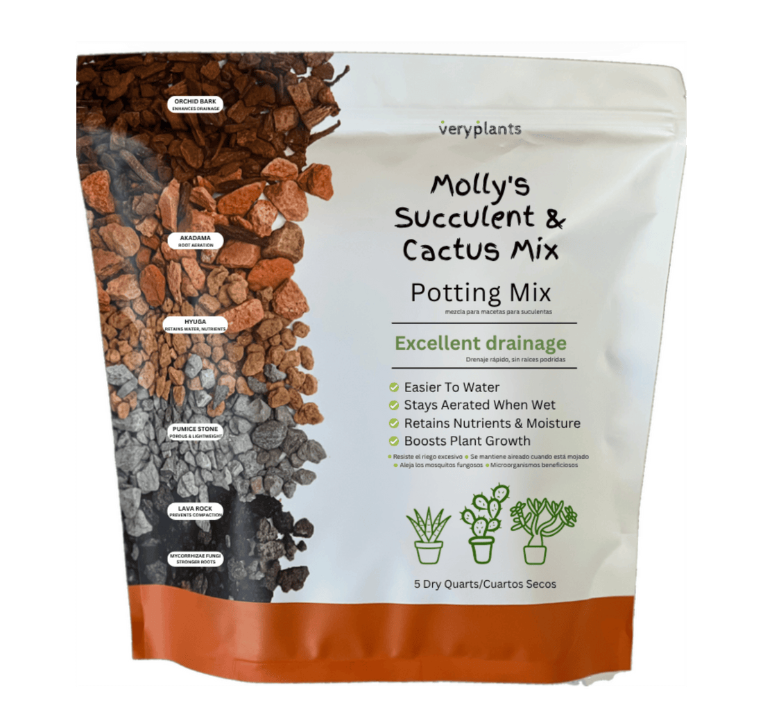 Molly's Succulent & Cactus Mix, a gritty mineral blend that drains in seconds