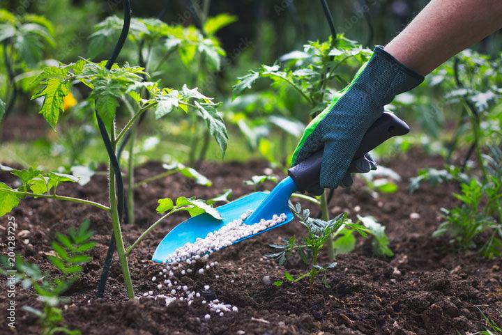 Understanding The Different Types of Fertilizers - VERYPLANTS