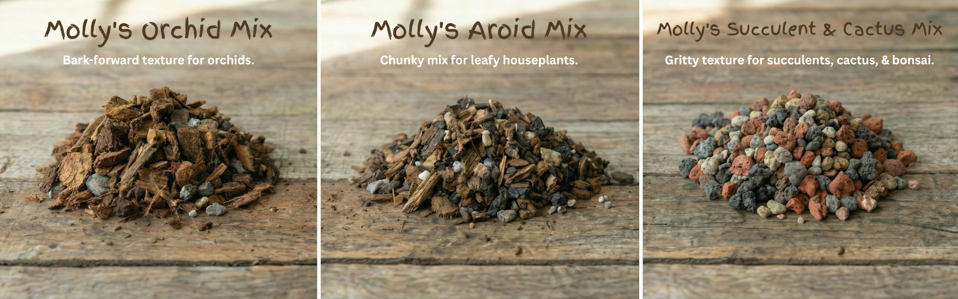Molly’s Orchid Mix – The Ideal Home for Your Orchids
