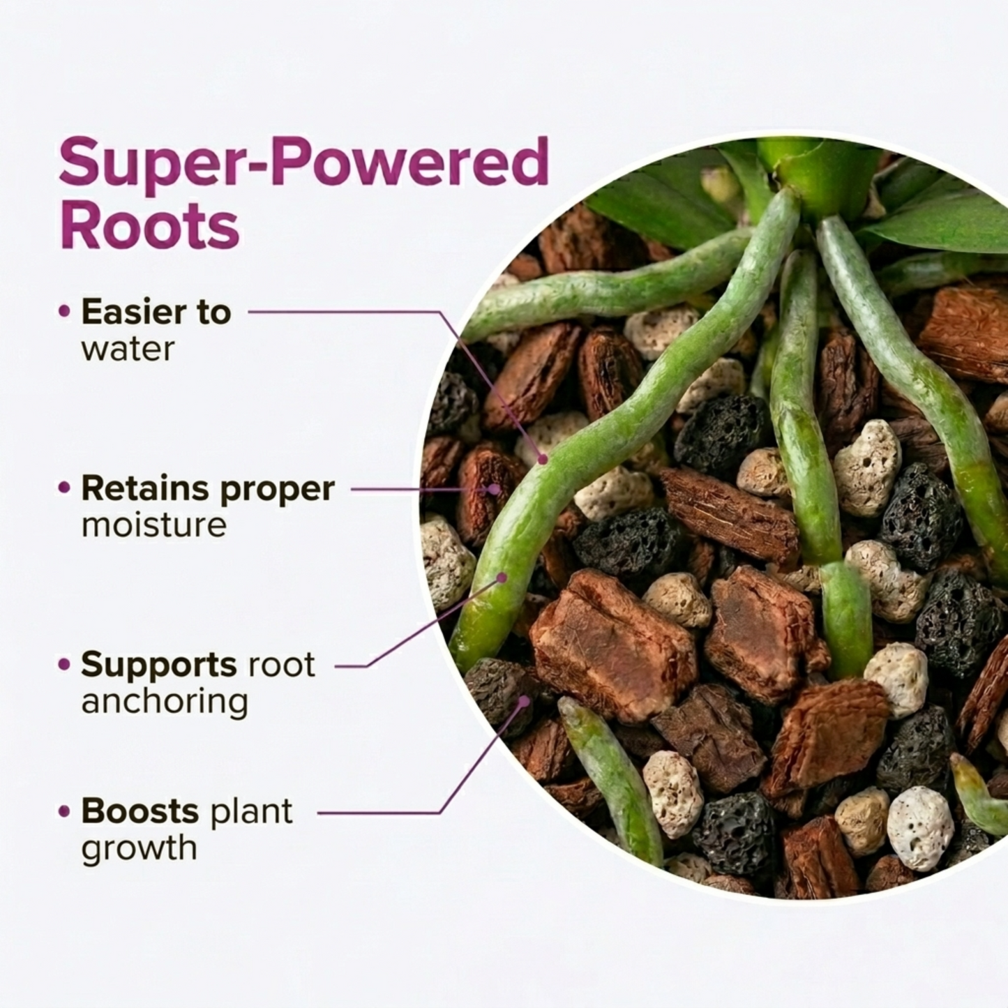 Molly's Orchid Mix - Premium Soilless Orchid Potting Mix
