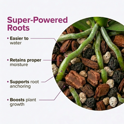 Molly's Orchid Mix - Premium Soilless Orchid Potting Mix