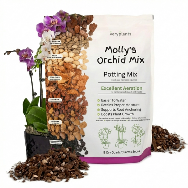 Molly's Orchid Mix bag: coarse fir bark, charcoal, and akadama for Phalaenopsis, Cattleya, and epiphytic orchids