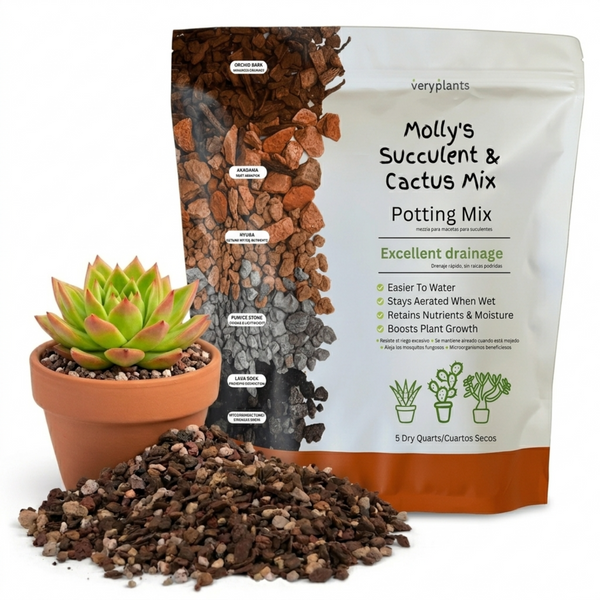 Molly's Succulent Mix bag: pumice, lava rock, and gritty mineral substrate for succulents, cacti, and bonsai